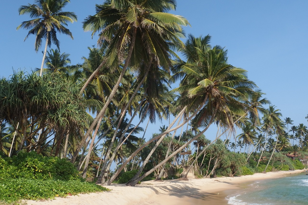 Anahata Travel