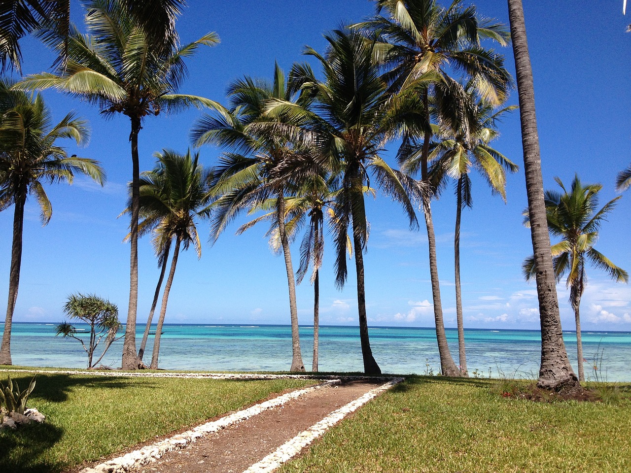Anahata Travel