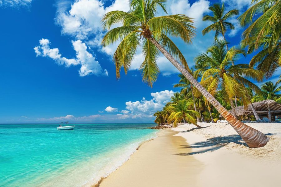 Punta Cana – Sejur de 7 nopți Hotel whala!bavaro 4*
